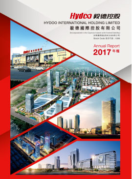 2017年年报