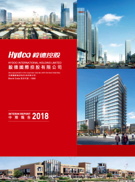 2018年中期报告