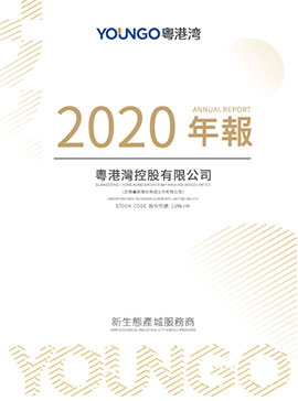 2020年年报